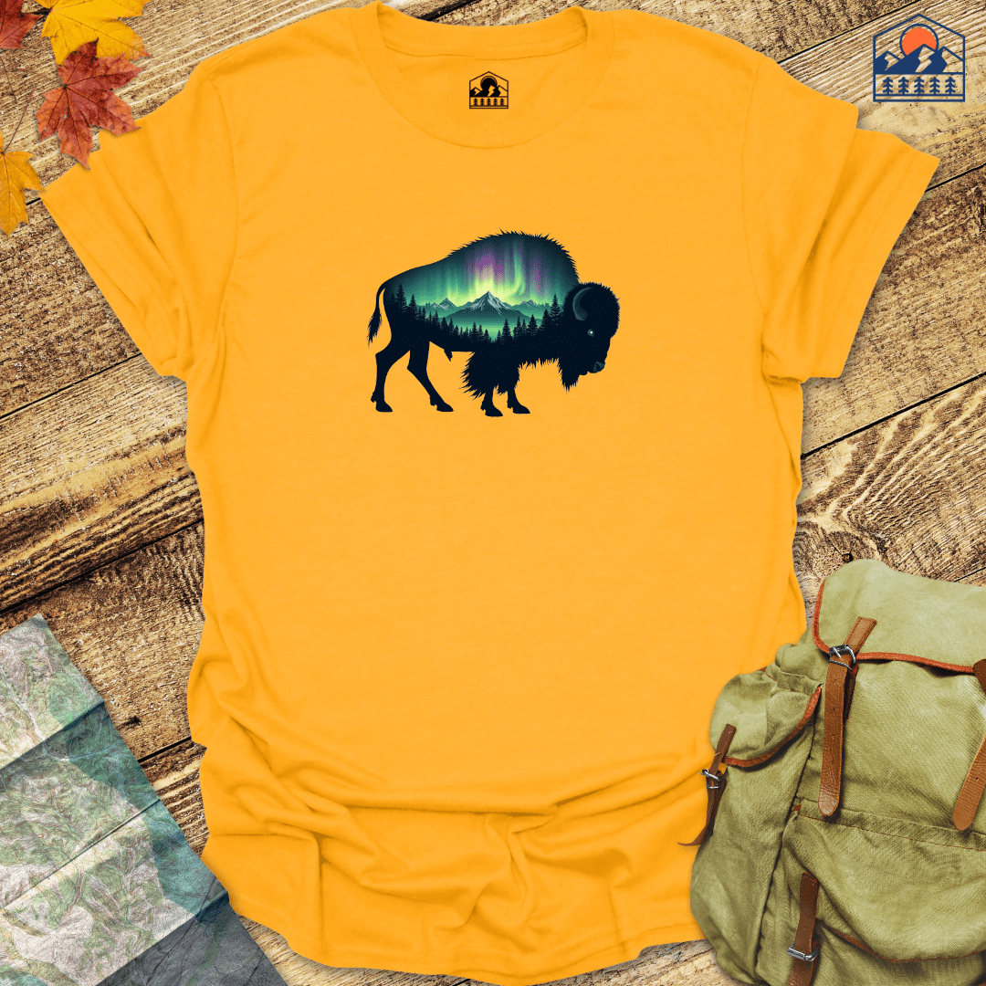 Buffalo Scene - HavenSummit