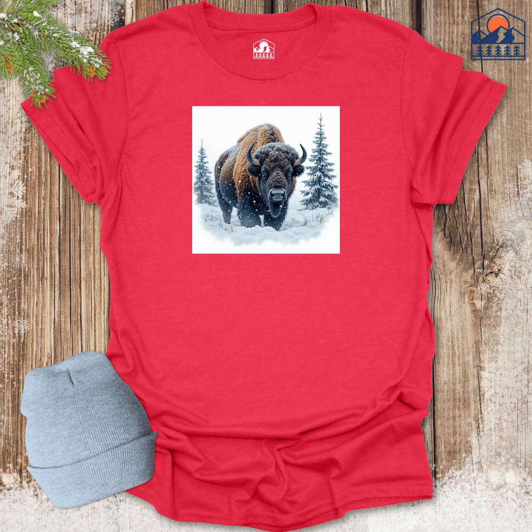 Buffalo Snow - HavenSummit