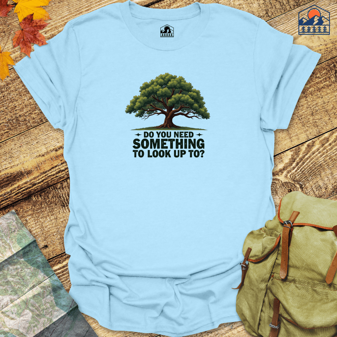 Something to Look Up To - HavenSummit