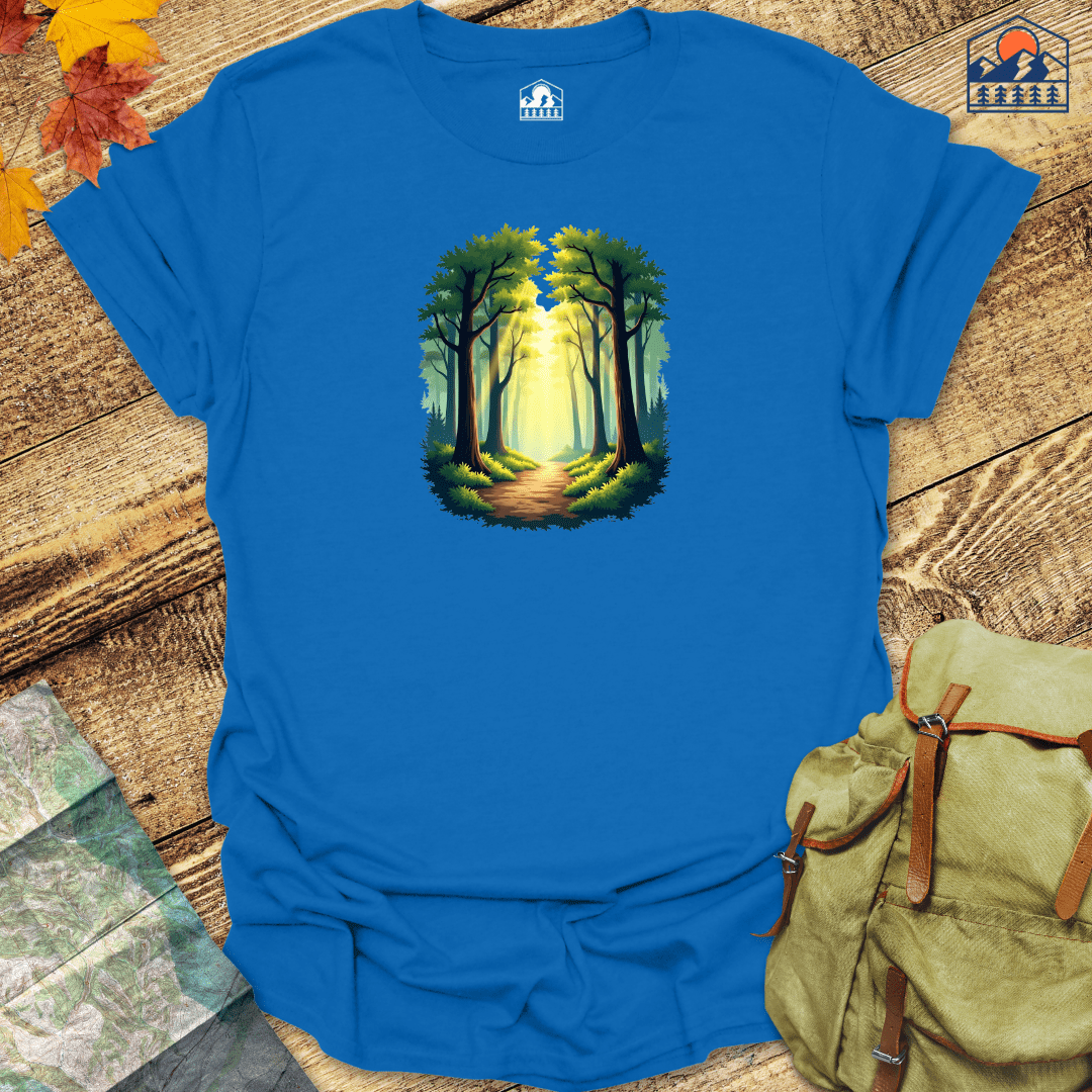 Sunlit Forest Path - HavenSummit