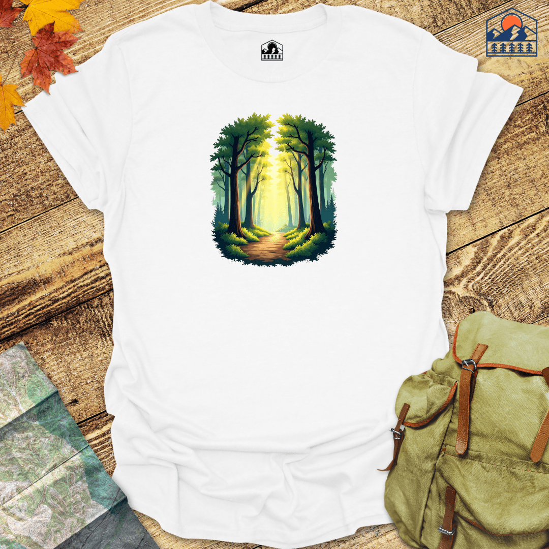 Sunlit Forest Path - HavenSummit