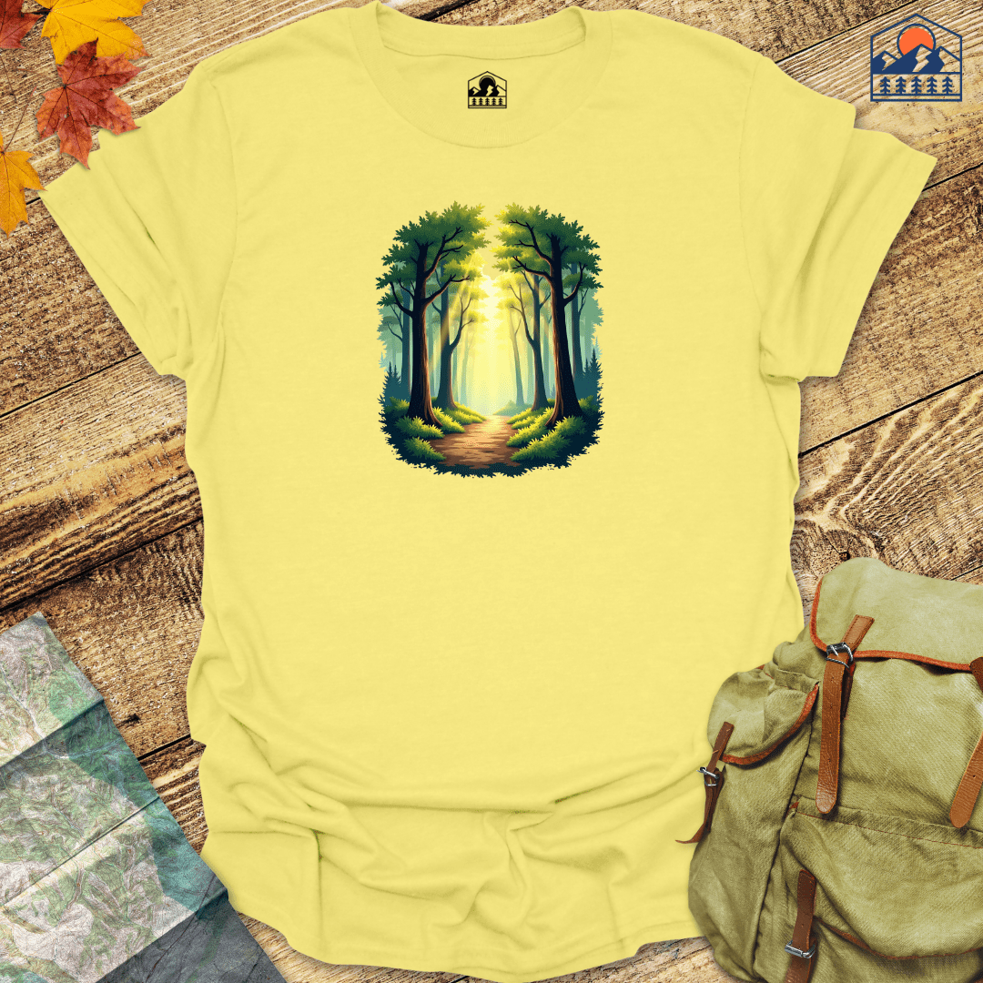 Sunlit Forest Path - HavenSummit