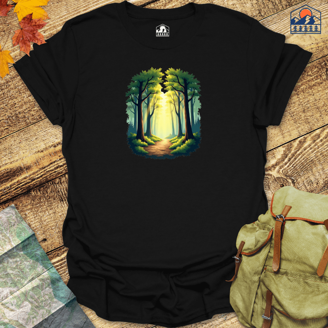 Sunlit Forest Path - HavenSummit